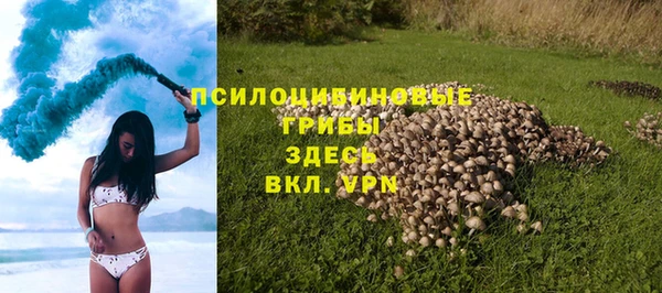 прущие грибы Гусев