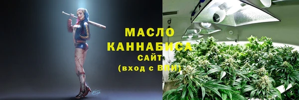 соль ск Гусь-Хрустальный