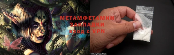 прущие грибы Гусев