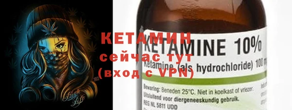 прущие грибы Гусев