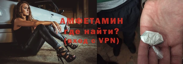 прущие грибы Гусев