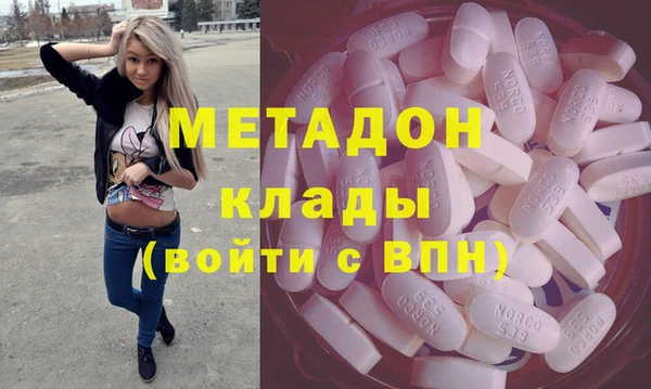 прущие грибы Гусев