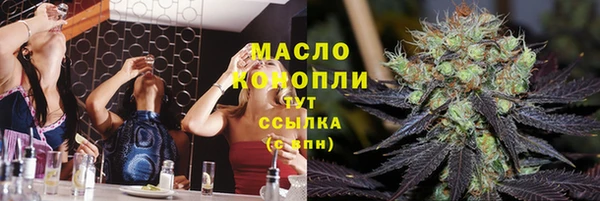 прущие грибы Гусев