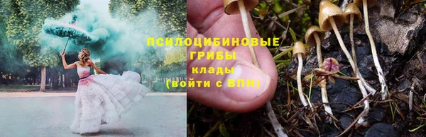 соль ск Гусь-Хрустальный