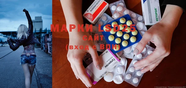 прущие грибы Гусев