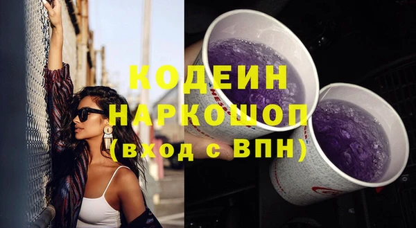 прущие грибы Гусев