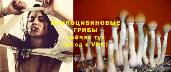 стаф Дмитриев
