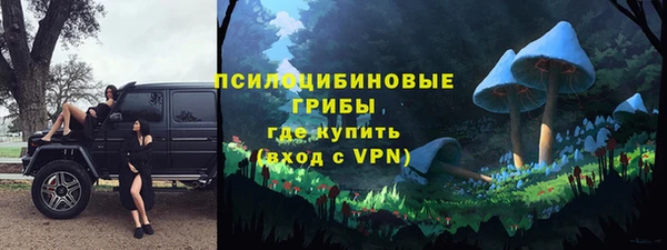 mdpv Гусиноозёрск