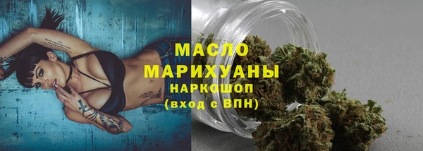 прущие грибы Гусев