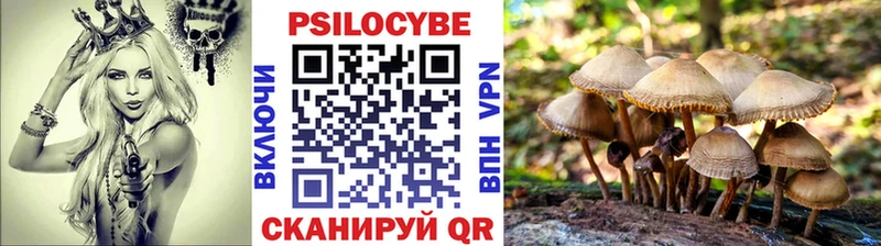 Купить закладки  Обь  Псилоцибиновые грибы Magic Shrooms 
